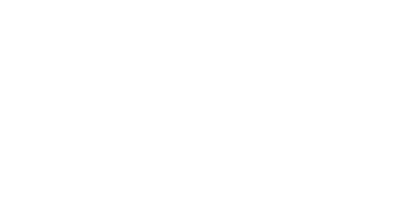 SOLIDEZ JURIDICA